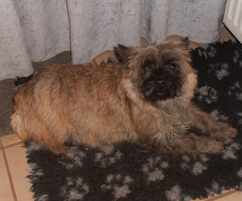 Valeska von Abendland